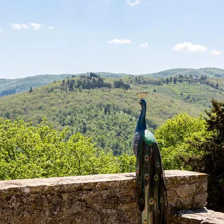 Casa Belvedere With Swimming Pool Кастелина ин Шианти