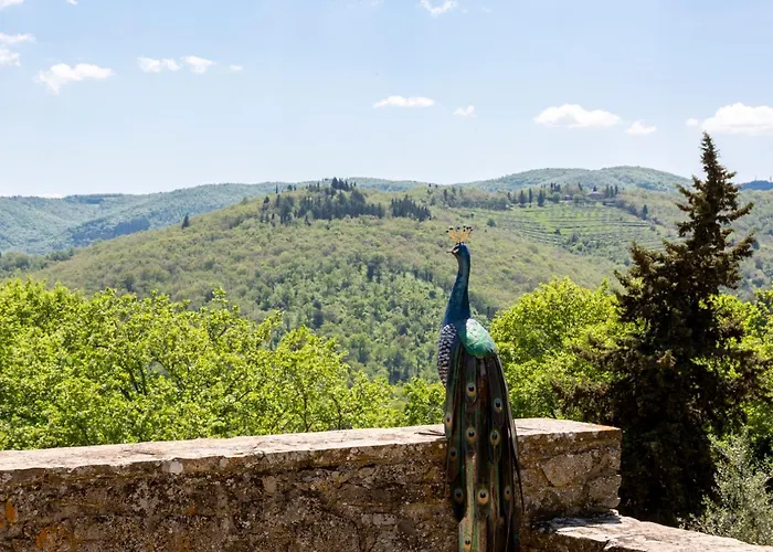 Casa Belvedere With Swimming Pool Castellina in Chianti