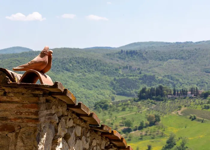 Casa Belvedere With Swimming Pool Castellina in Chianti